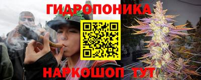 эйфоретик Кумертау