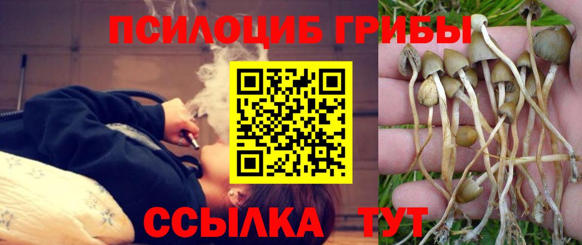 Псилоцибиновые грибы GOLDEN TEACHER  Галлюциногенные грибы Psilocybe  Вход с VPN  Каспийск 
